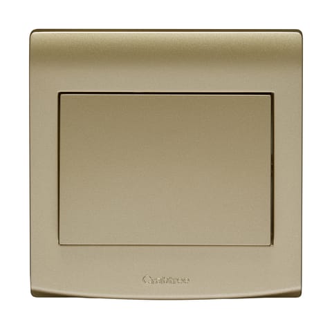 سويتش 10 أمبير - دقمة عريضة - فردي - اتجاه واحد - ذهبي